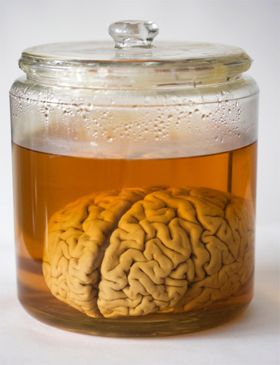 brains